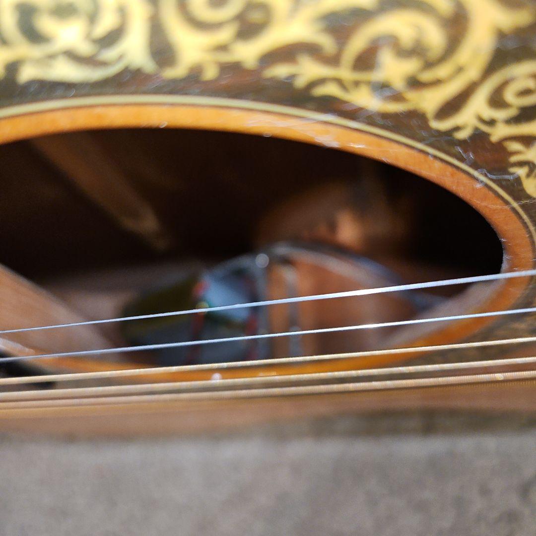 【エレアコ】The Sandpiper Deluxe アコースティックギターです