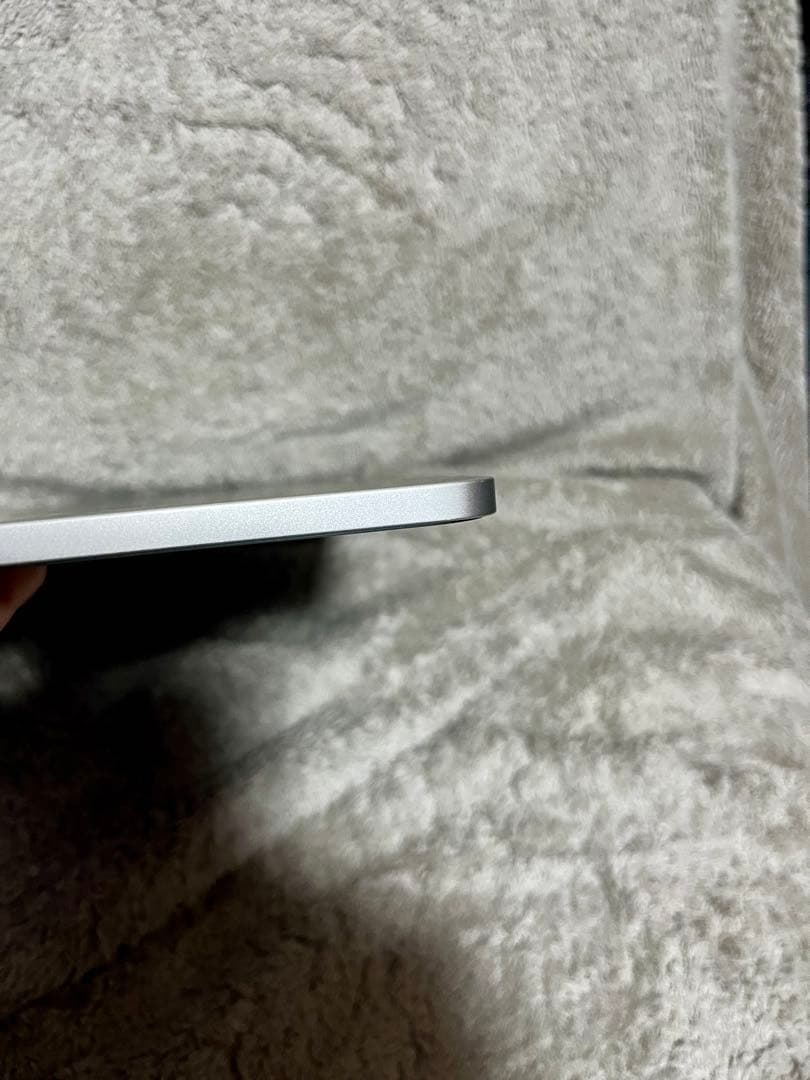 美品　iPad Pro M1チップ 12.9インチ　256GB おまけ有り