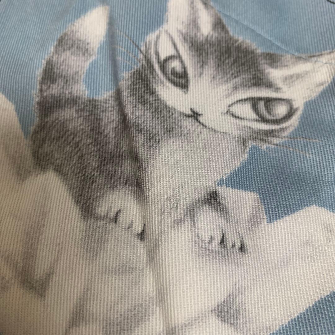 わちふぃーるど　ダヤン　カーテン2枚