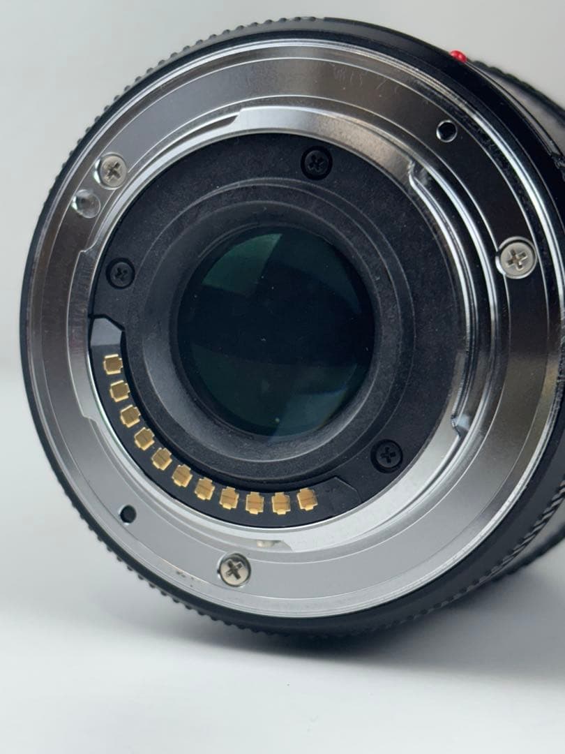 【美品】Panasonic H-PS45175 45-175 レンズ