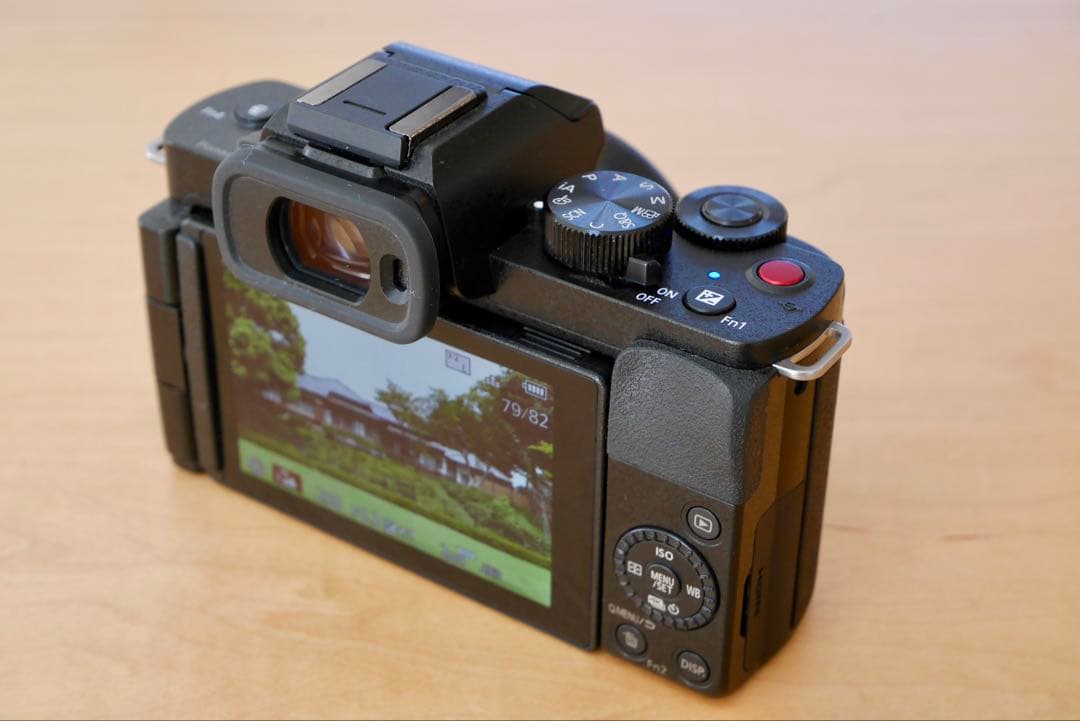 Panasonic LUMIX DC-G100D 美品　ミラーレス一眼