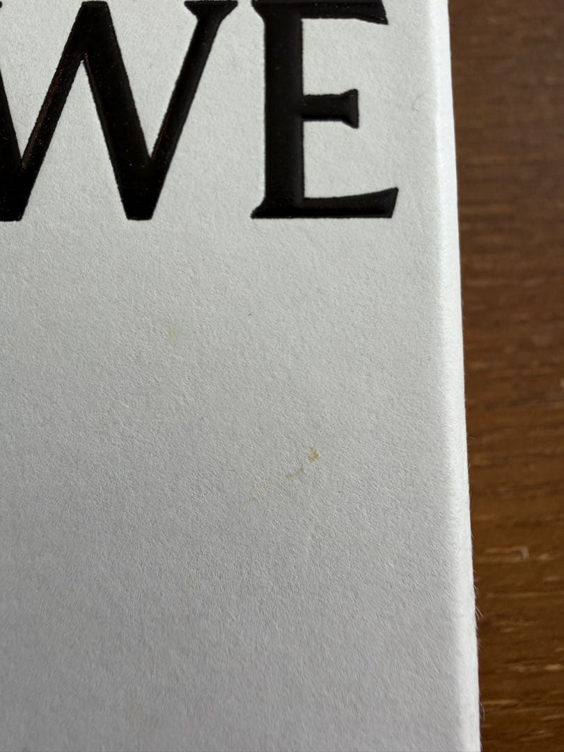 LOEWE アナグラムブローチ パラジウム　ロエベ　ブローチ　シルバー