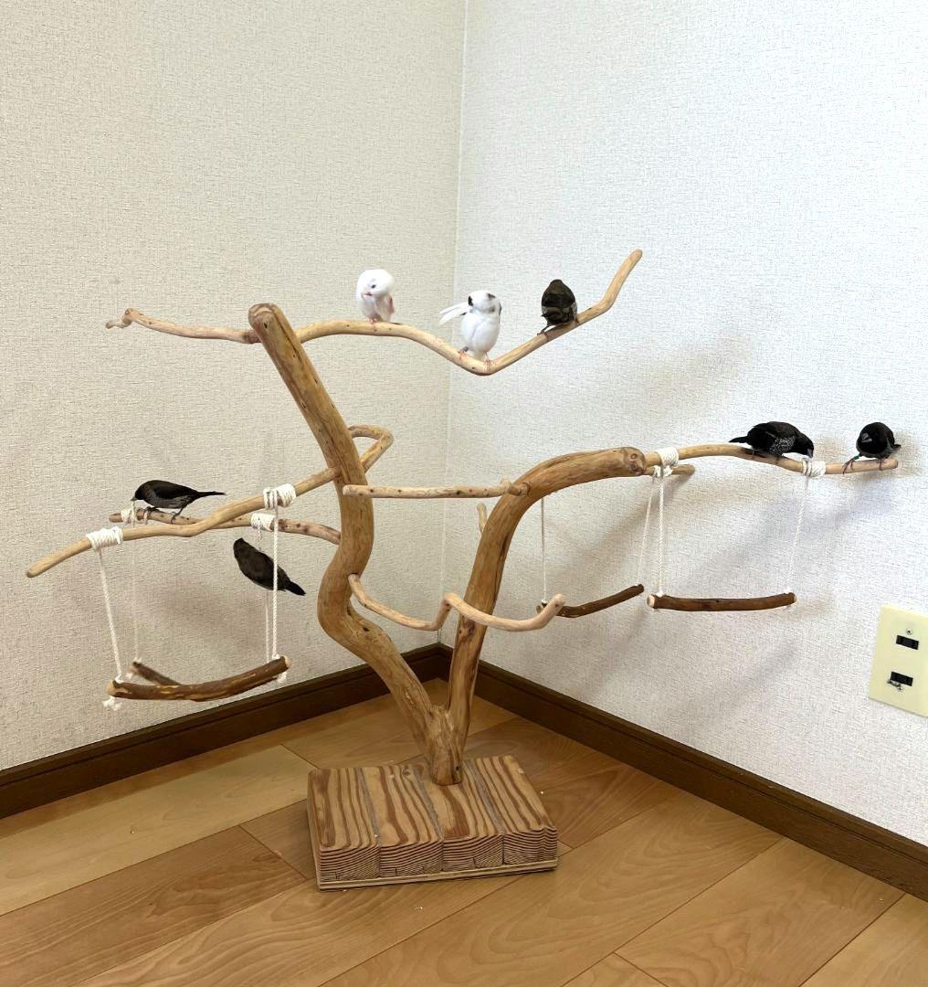 【小鳥用】ブランコ付くねくねバードアスレチック