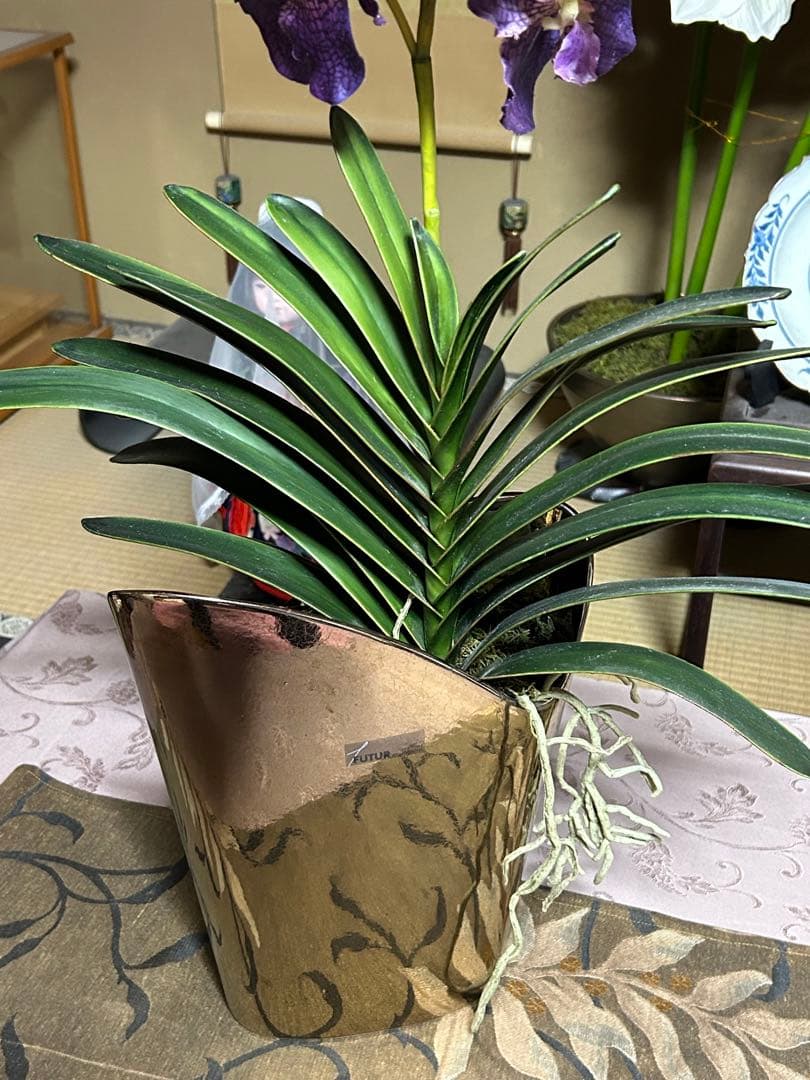 お値下げ　イタリア製　FUTURアートフラワー