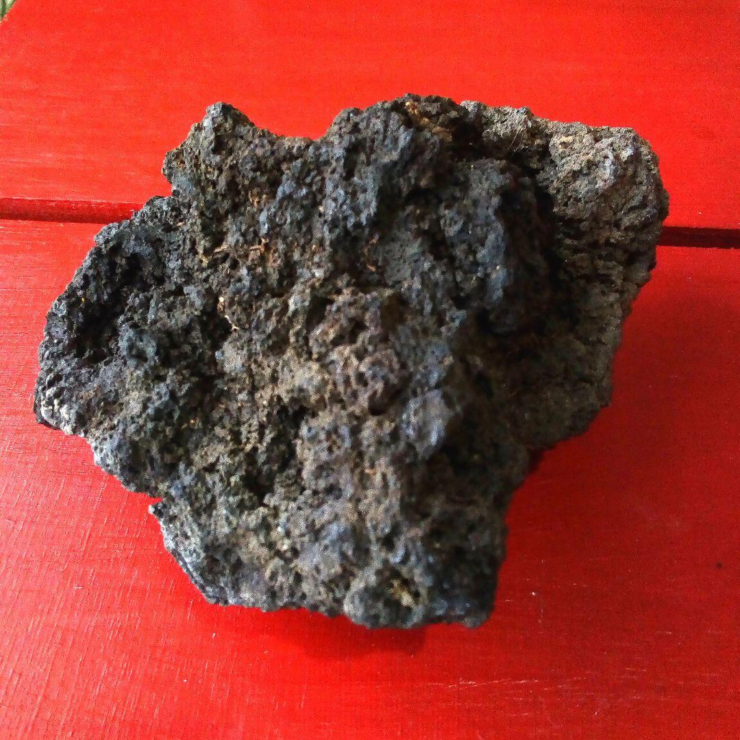 黒溶岩石　盆栽　ミニチュア庭園　アクアリウム