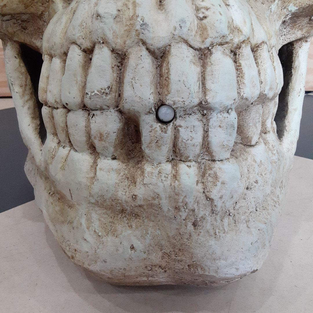 【BIGサイズ/スカル】商品番号230