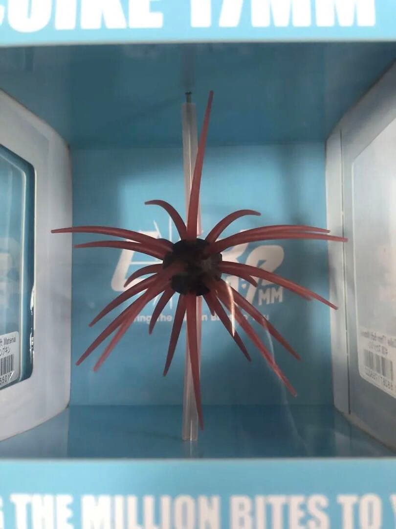 ハイドアップ　コイケ17mm ６個セット（箱のまま発送）