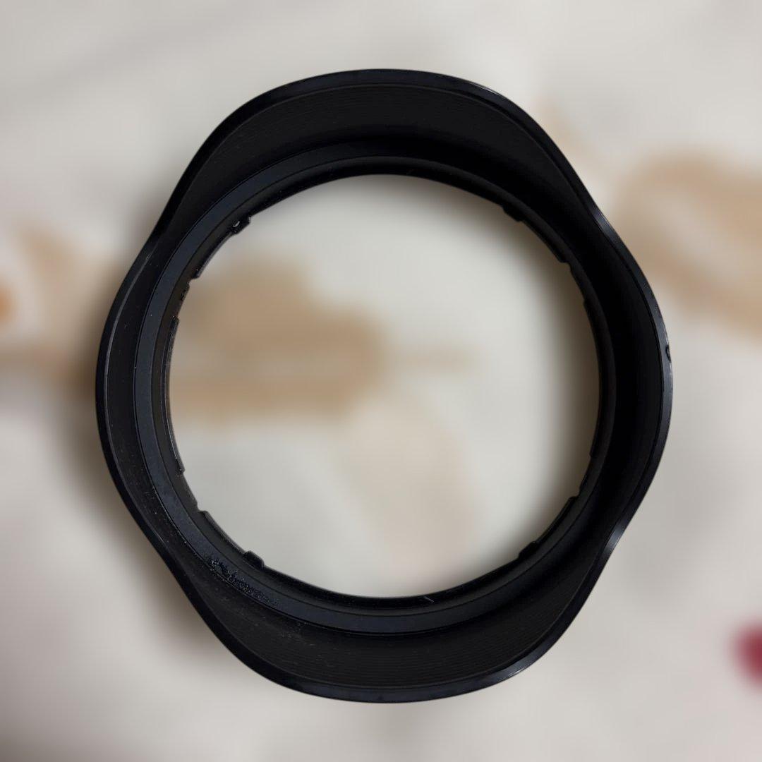 Sigma 16-28mm F2.8 DG DN [ソニーE用]