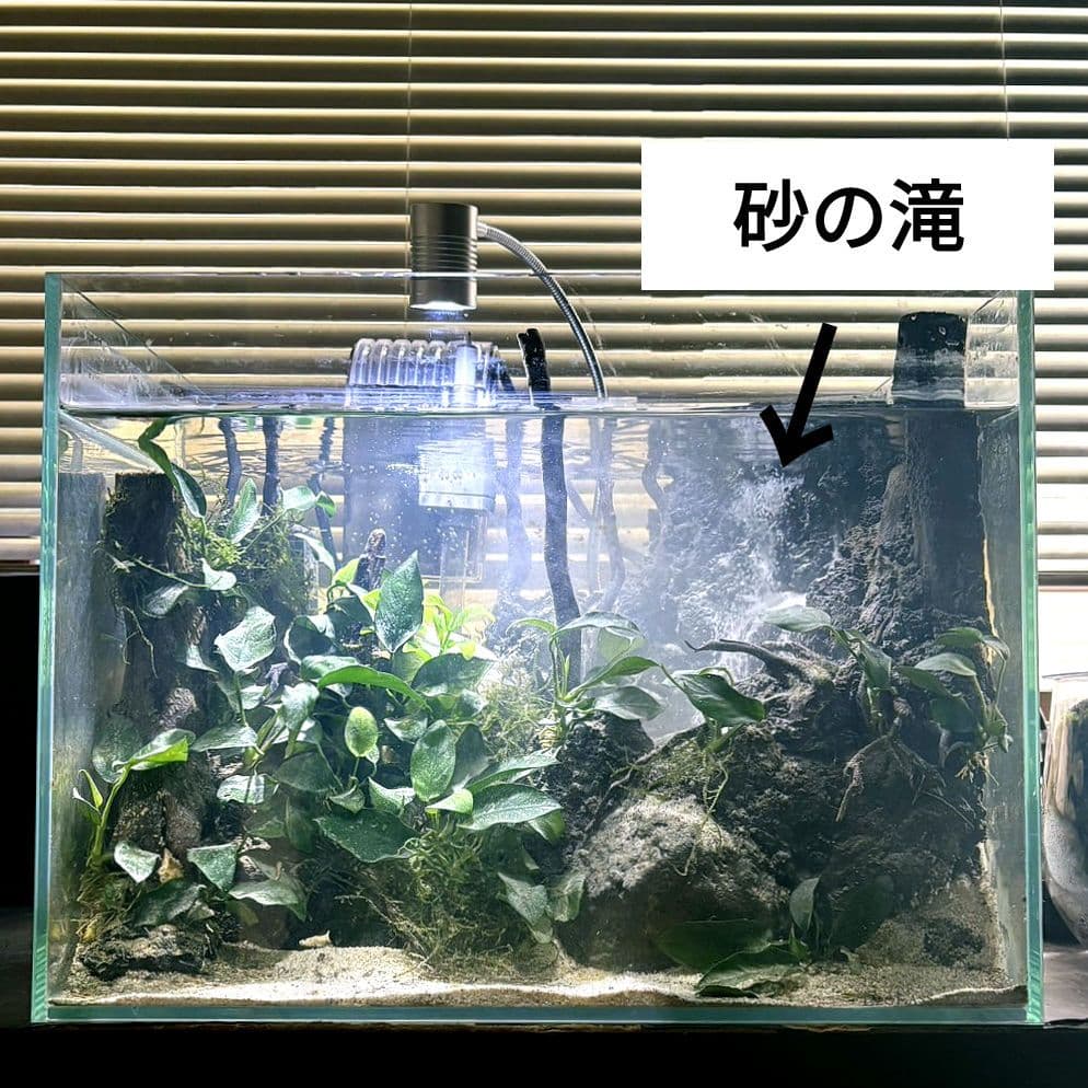 砂の滝の流れるアクアテラリウム　アクアリウム　No.1137