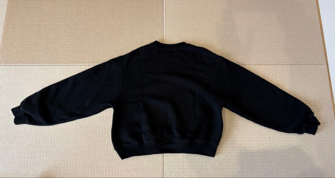 alexander wang アレキサンダーワング　トレーナー