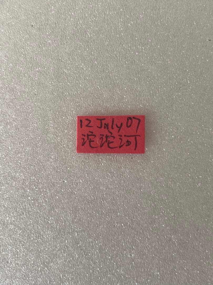 パルナシウス・アッコ（オス、中国・青海省産）