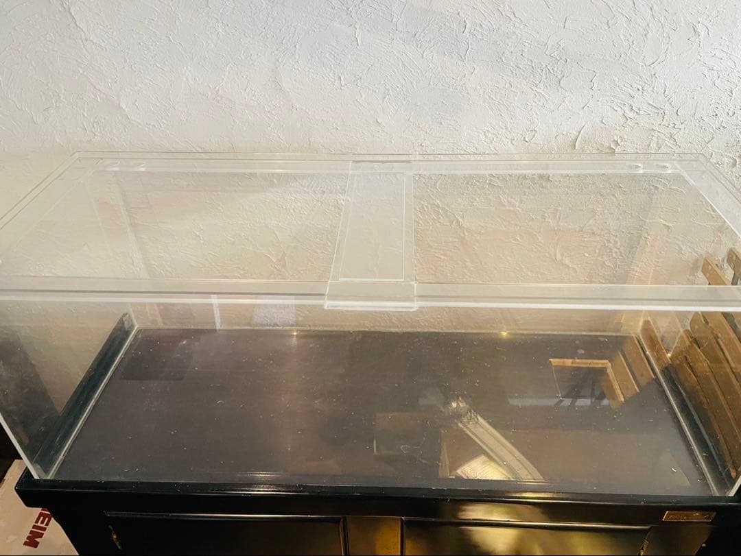 コイ　120cm マーフィード　ウッドキャビ