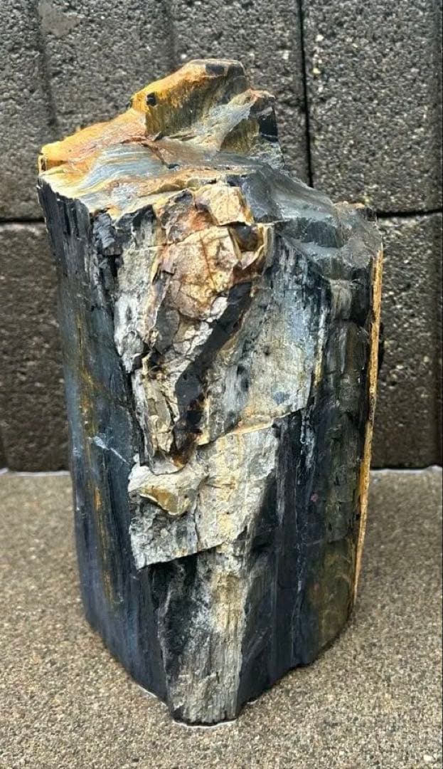 北海道 遠軽瀬戸瀬産 珪化木 5.4kg 特大 木化石 鑑賞石 置物 盆栽 水石