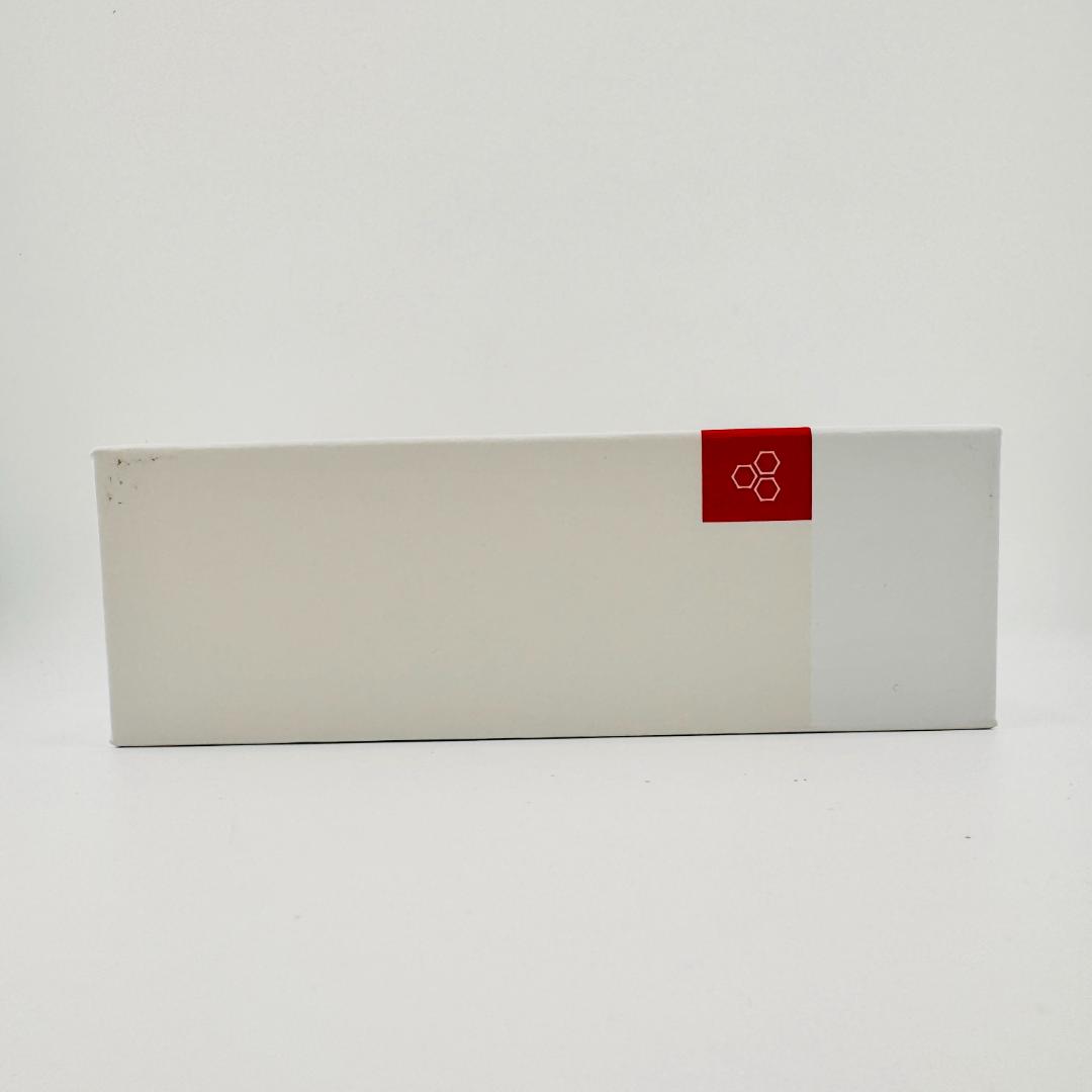 【ほぼ新品】 final ZE3000 for ASMR ワイヤレスイヤホン