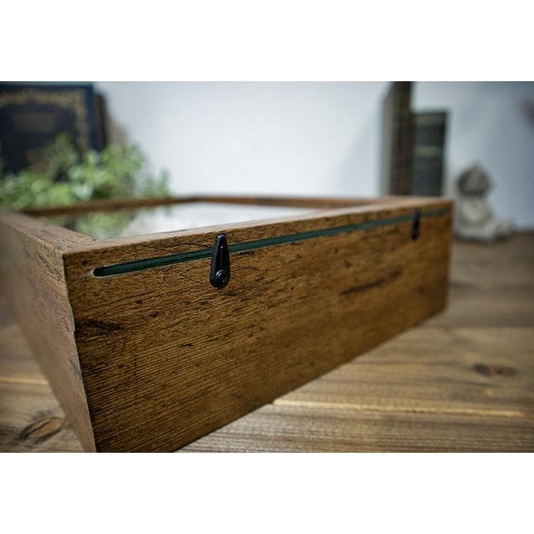 額入り プリザーブドフラワー 額縁に入ったお花 長期間鑑賞可能 白系