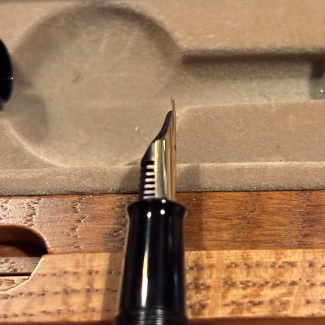 【限定品】PILOT 創立70周年 記念 万年筆　希少