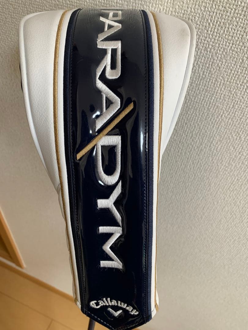 パラダイムXドライバー