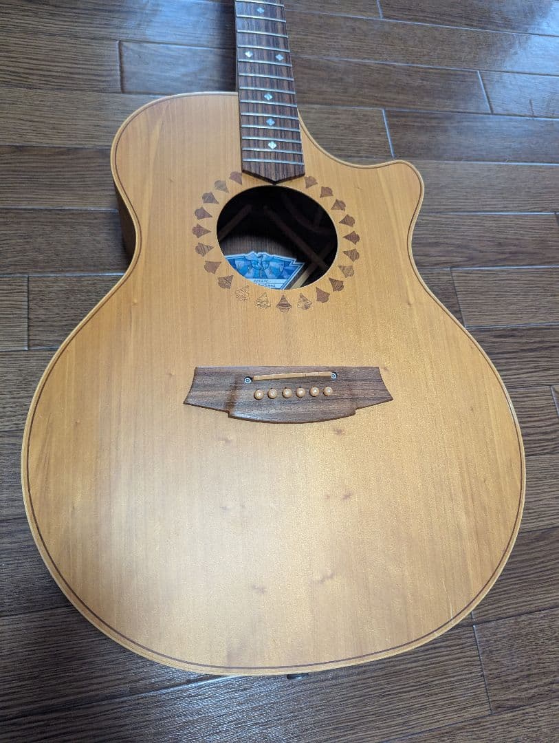 【最終値下げ】AN2AC-Custom COLE CLARK コールクラーク