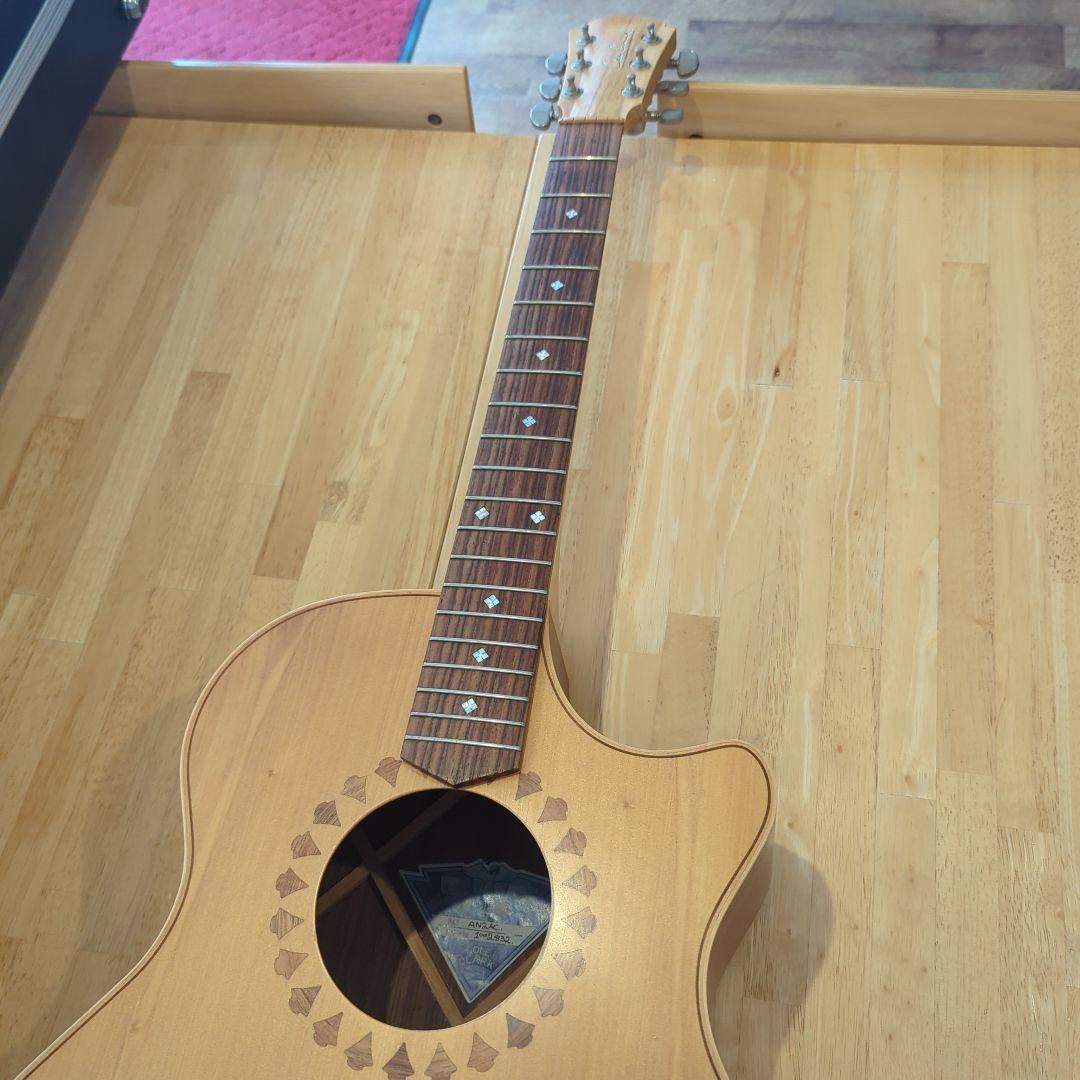 【最終値下げ】AN2AC-Custom COLE CLARK コールクラーク