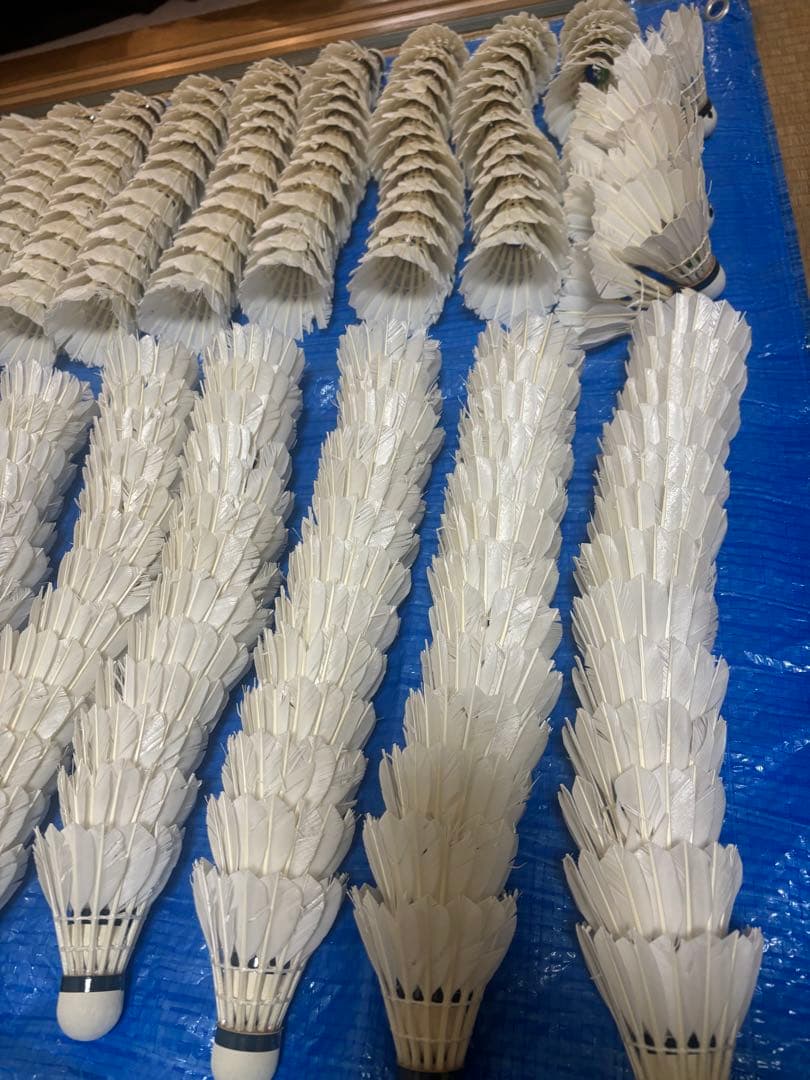 中古⭐︎ニューオフェシャルのみノック用シャトル⭐︎260球