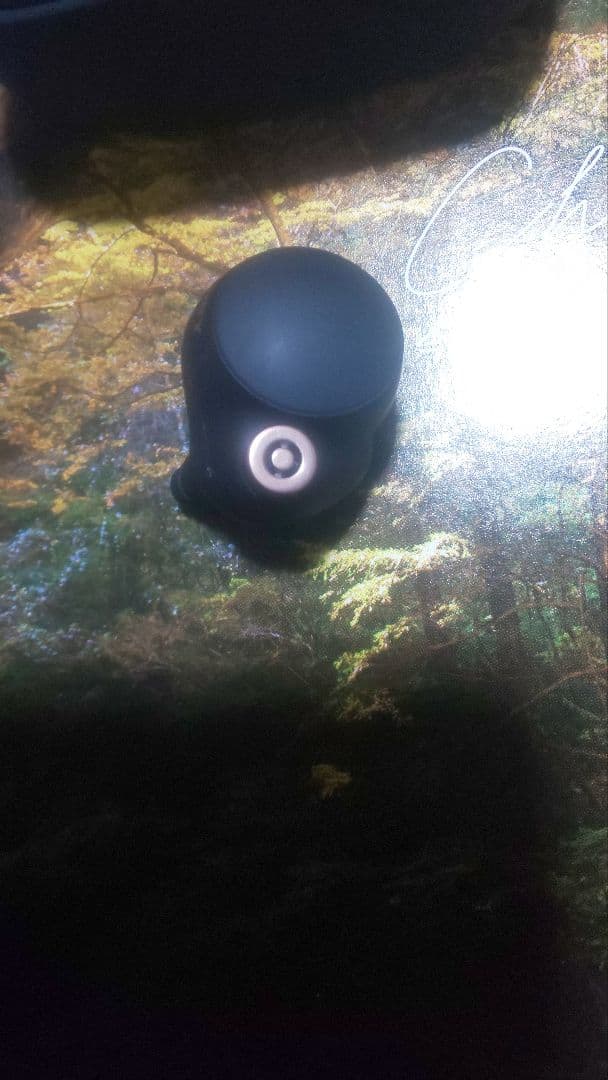 数量限定価格　ケース イヤホン両方バッテリー新品交換　wf-1000xm4おまけ