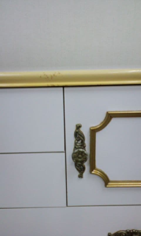 ドレッサー、鏡台　猫足で素敵　鏡角度調節可能　送料込み