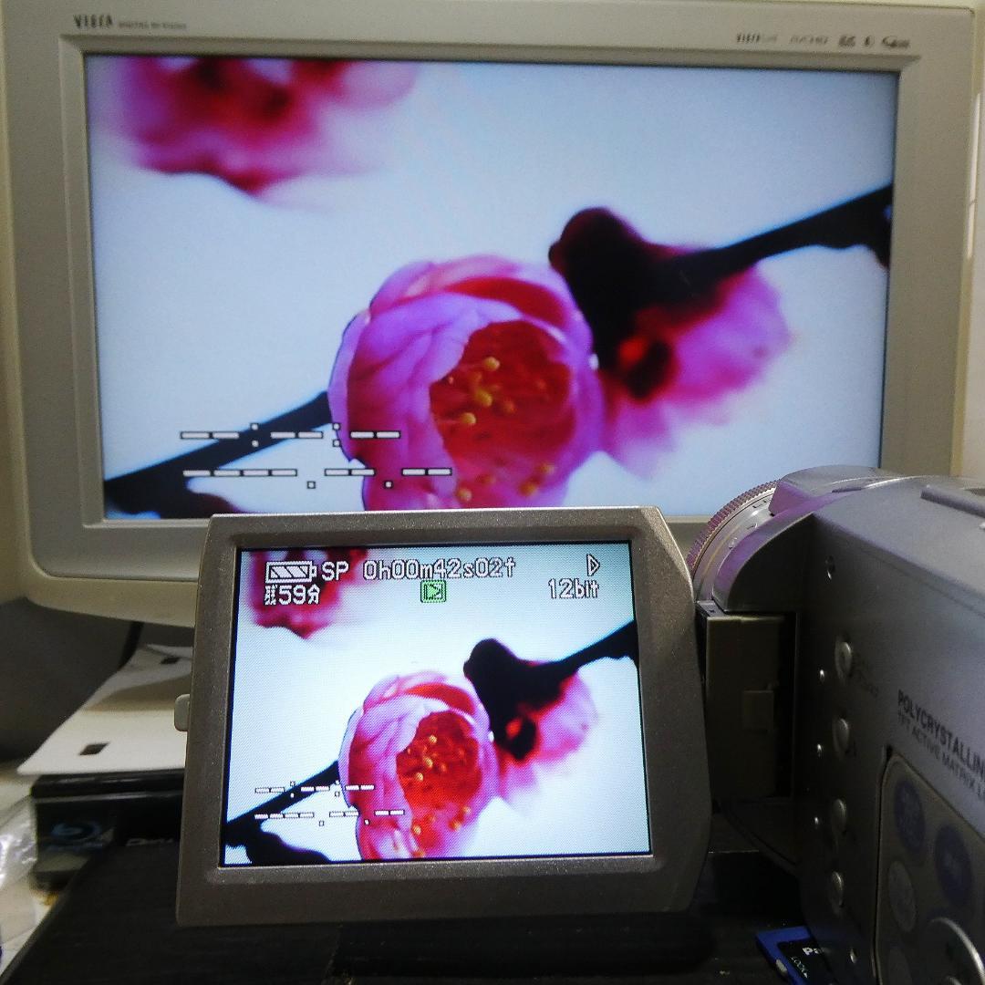 動作良好 パナソニックNV-GS400 MiniDVビデオ　デジタルダビングに