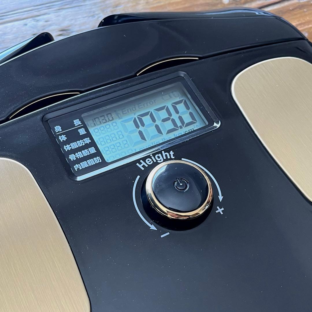 【極美品】InBody Dial H20 ミッドナイトブラック