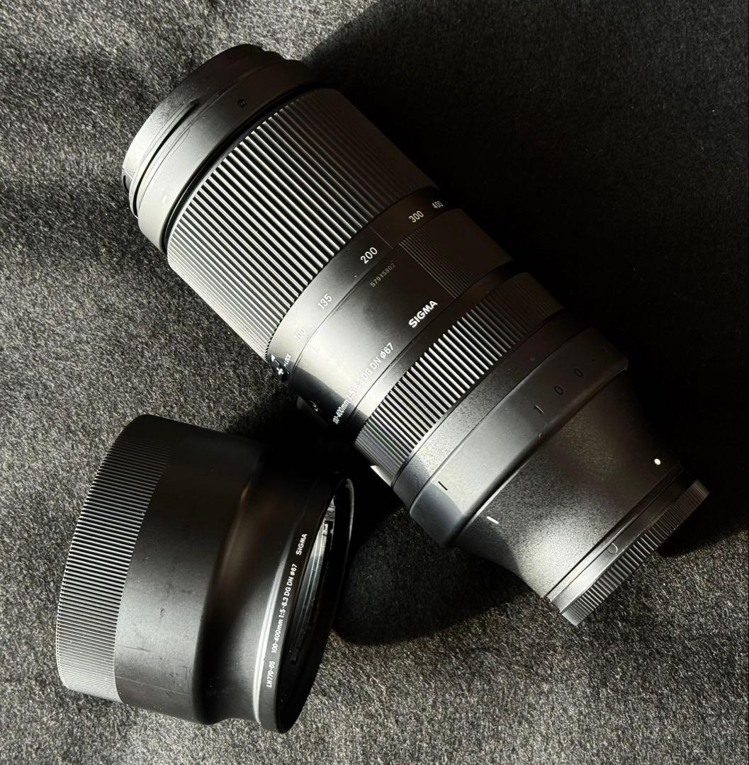 ［Lマウント］SIGMA 100-400mm F5-6.3 DG DN OS