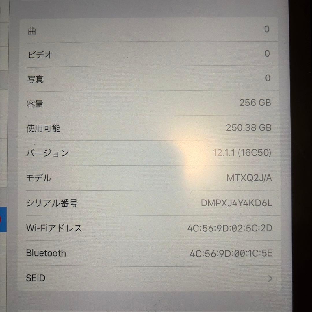 iPad Pro 11 第一世代 WiFi 256GB スペースグレイ