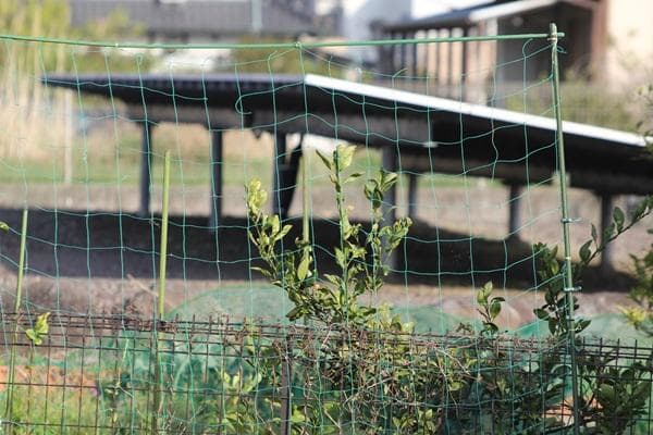 キャノン ZOOM EF 35-350mm F3.5-5.6 L USM