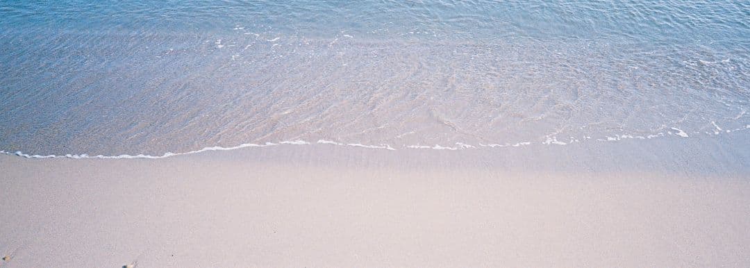 動作確認済&説明書付属 Nikon AF600 コンパクトフィルムカメラ 作例有