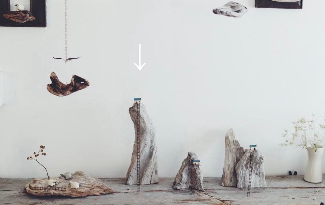 noriyuki watanabe 流木 オブジェ