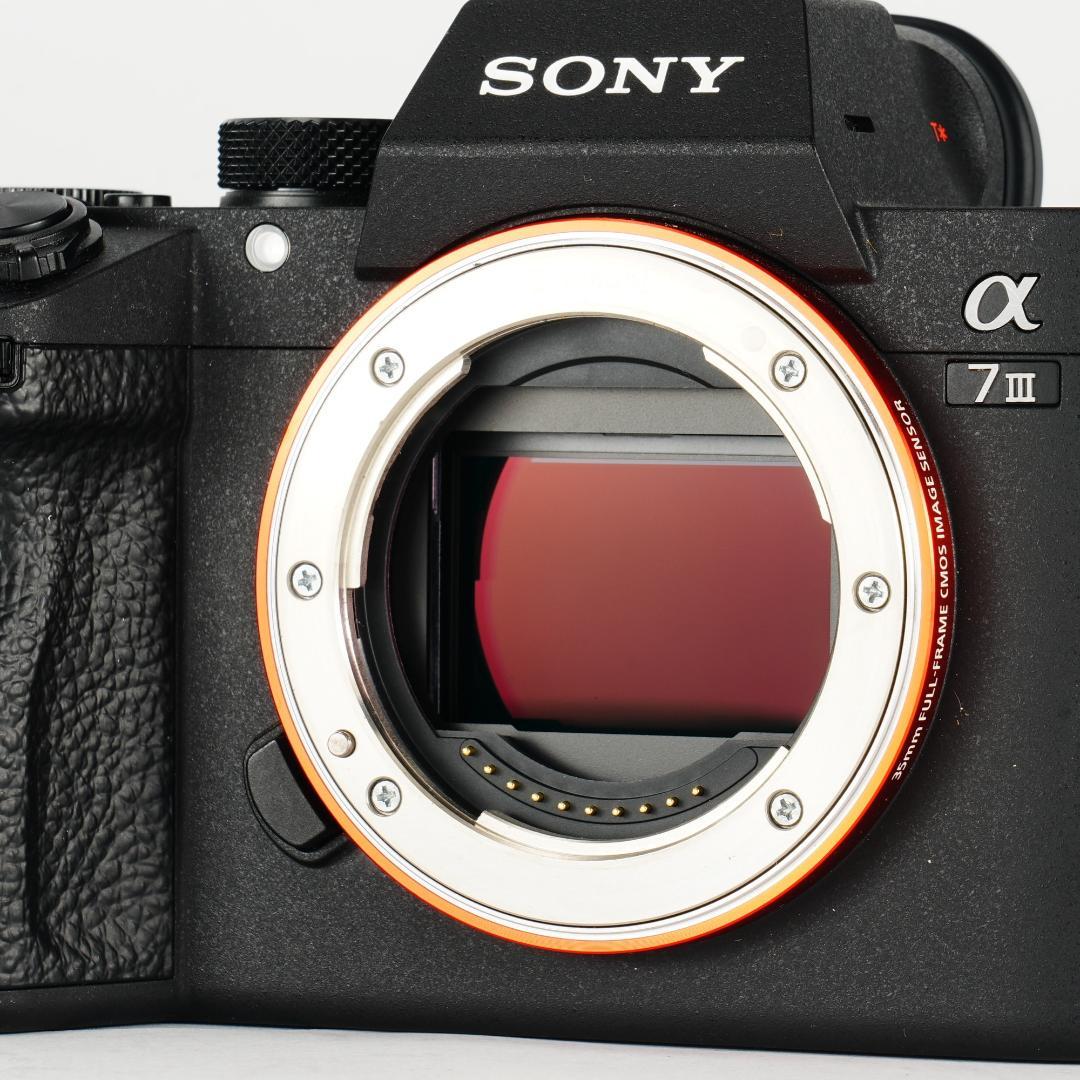 未使用級【完全セット】α7III美品！4,440回/20万 すぐ撮影可能