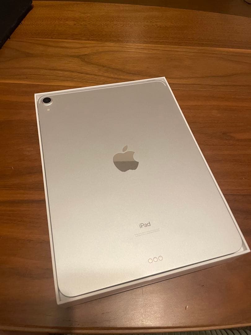 iPad Pro 第1世代 256GB 11インチ Apple Pencil付き