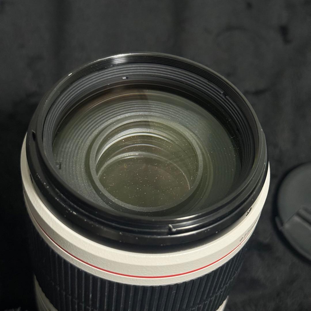 Canon 100-400 F4.5-5.6 L IS II USM 望遠レンズ