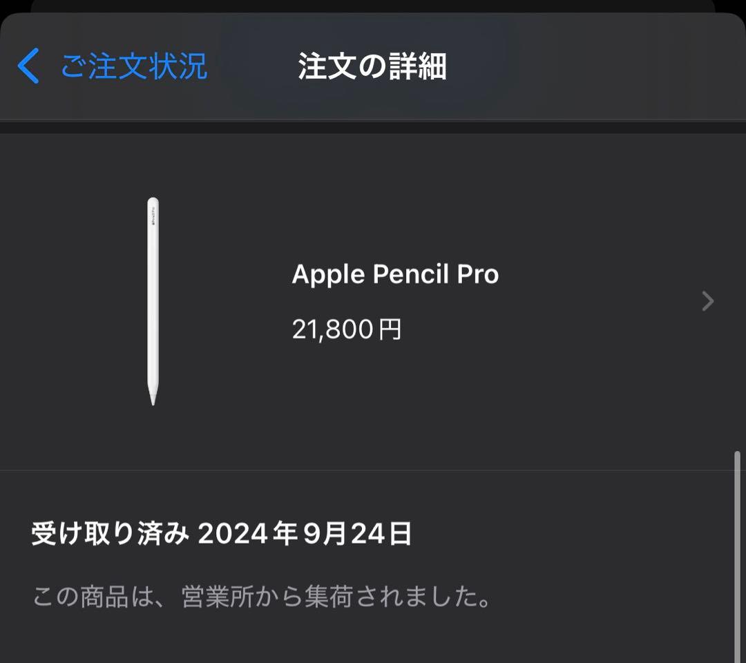 iPad Pro11 M4 256GB セルラー Pencil付