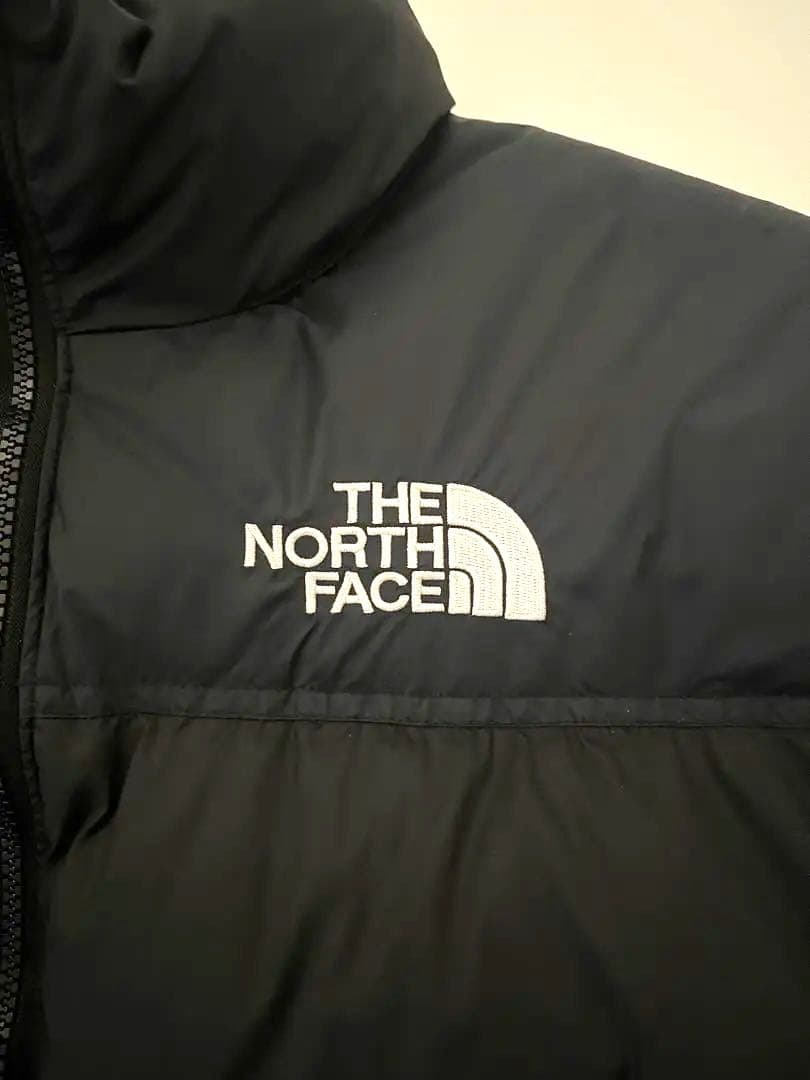 Lサイズ　THE NORTH FACE レトロ1996ヌプシダウンUS企画