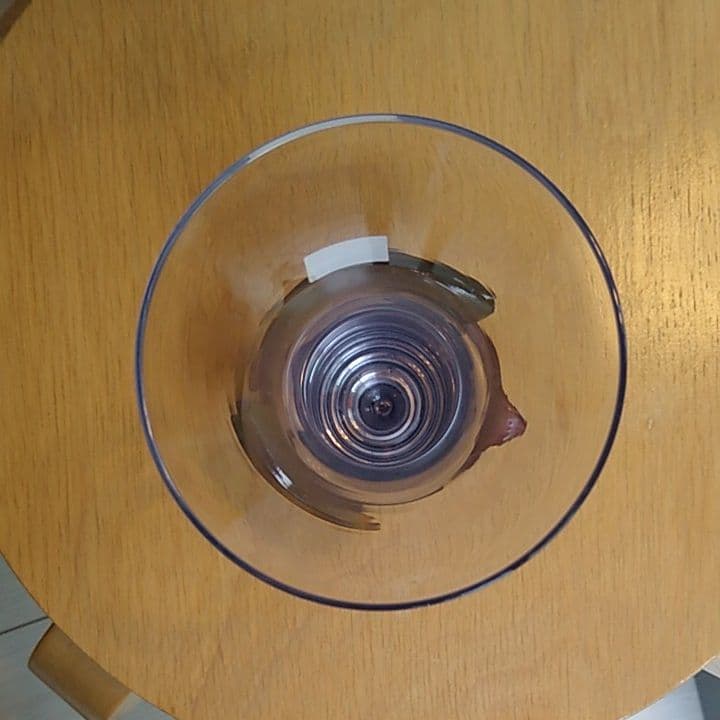 ドーム Daum 花瓶 魚 未使用品