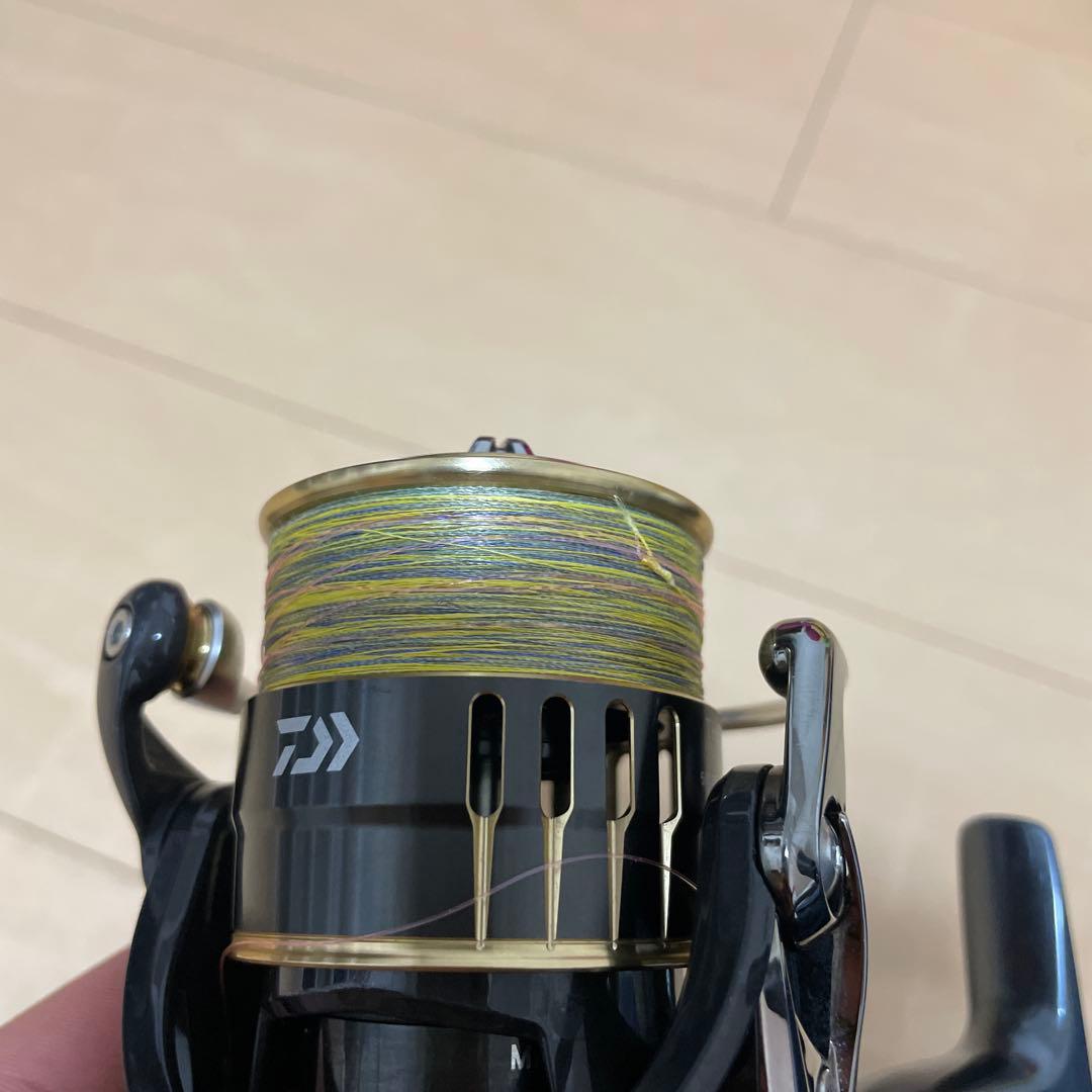 17セオリー　2506H