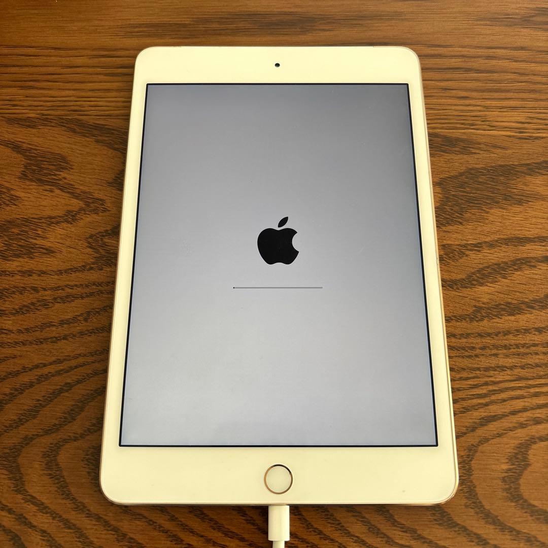 iPad本体 Apple iPad mini4 128GB