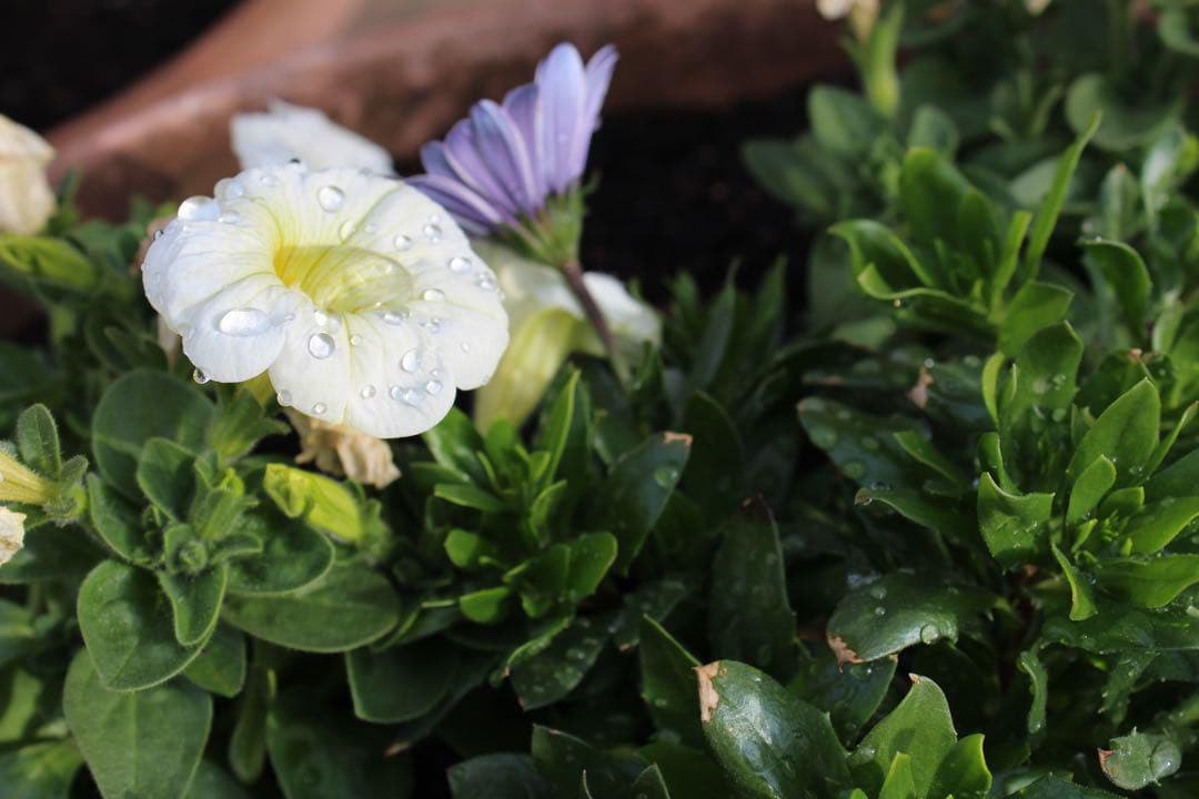 Canon X7i♥️Canon純正付属品多数◎初めての一眼にぴったり♪