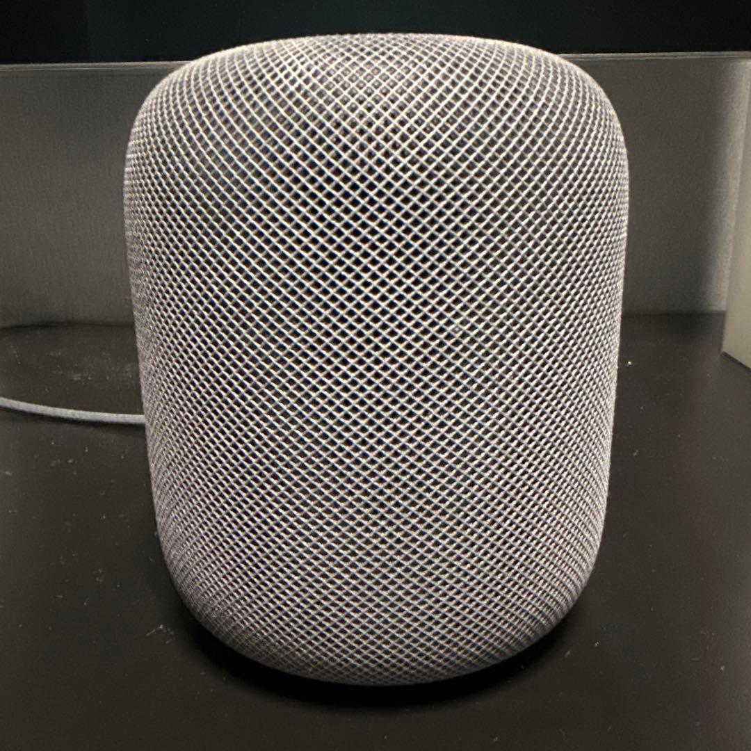 Apple Pod 第1世代 スペースグレー 箱セット