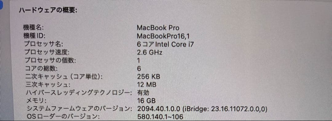 MacBook本体 MacBook Pro 16 late 2019 i7/16GB/1TB