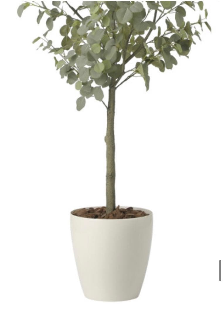 光触媒　人工観葉植物　ウォールグリーン　フェイクグリーン　ユーカリツリー1.85