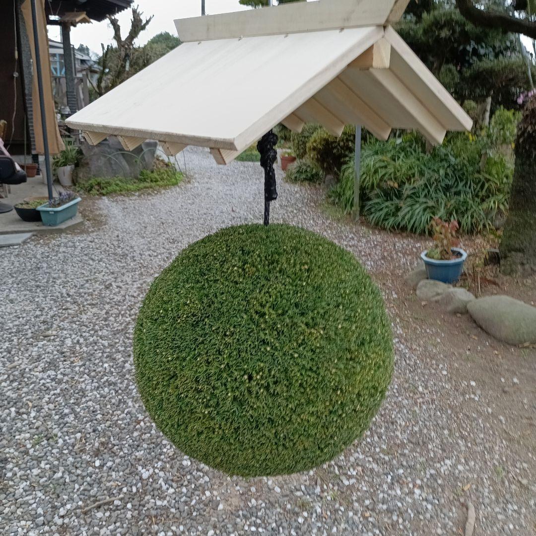 杉玉　直径約35ｃｍ　屋根なし