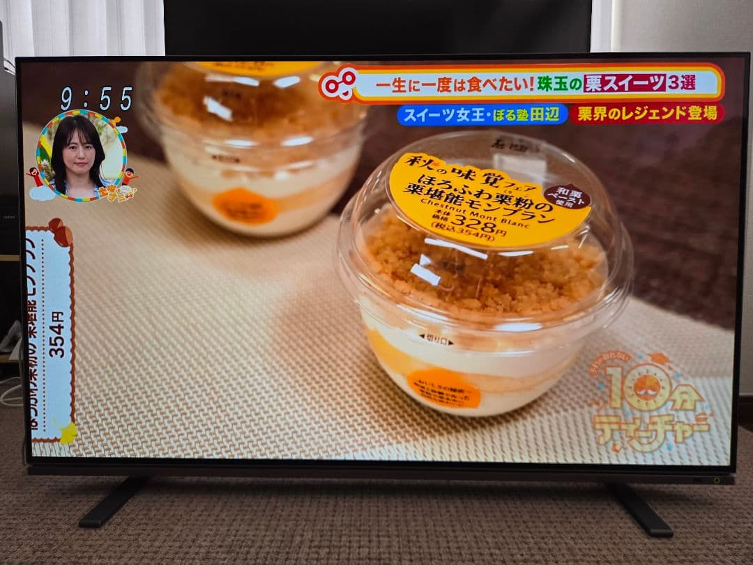 TOSHIBA 48X8900K 有機ELテレビ