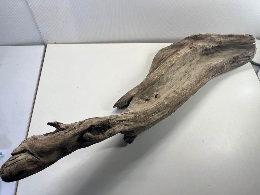 V84特大流木 アク抜き済み流木 爬虫類シェルター 登り木 インテリア 生け花