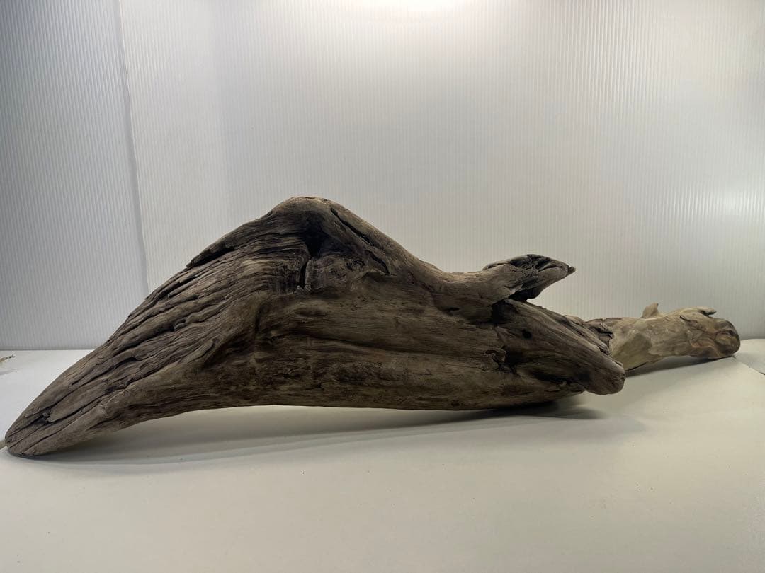 V84特大流木 アク抜き済み流木 爬虫類シェルター 登り木 インテリア 生け花