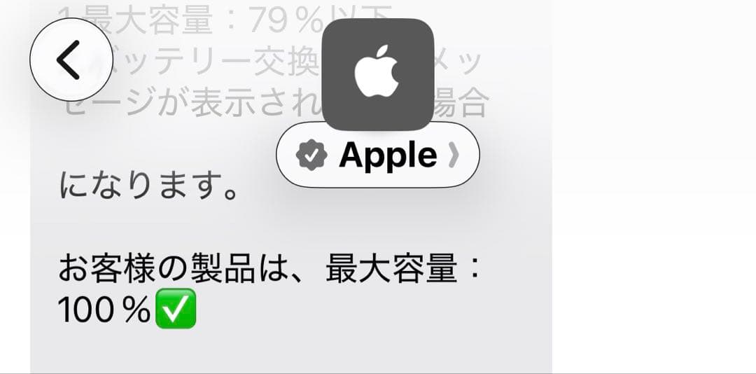 Apple iPad mini 第6世代 64Gスターライト美品バッテリー100